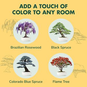 Idée de cadeau de Noël insolite Kit complet de démarrage d'arbre de bonsaï de <span class=keywords><strong>jardinage</strong></span> d'intérieur pour femmes Design artificiel Décoration Plantation - Product Image 3