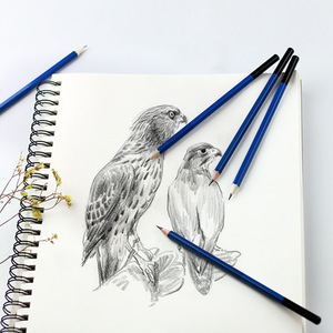 Matite da Disegno in Grafite a Prezzo Conveniente con Logo Personalizzato 5H 4H 3H 2H HB B 2B 3B 4B 5B <span class=keywords><strong>6B</strong></span> 8B per Artisti e Principianti - Product Image 2