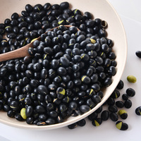 Haricots noirs biologiques séchés de qualité supérieure avec germe vert, non-OGM, pour la cuisine et la germination, vente en gros
