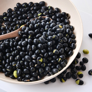 Fagioli Neri Biologici Essiccati Premium all'Ingrosso con Guscio Verde, Fagioli Neri Crudi Non-OGM per Cucinare e Germogliare, Fornitura all'Ingrosso - Product Image 2