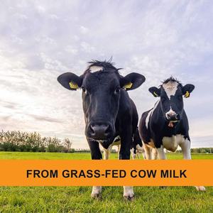 थोक विक्रेता सबसे अच्छी कीमत ओएम स्वास्थ्य देखभाल, मट्ठा प्रोटीन को अलग करता है चीनी मुक्त घास खिलाया डेयरी गाय पाउडर - Product Image 4