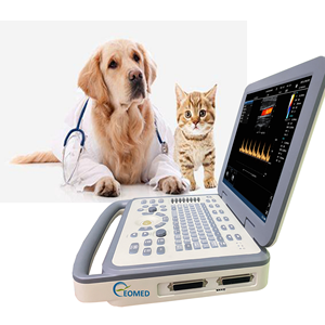Escáner de Ultrasonido Canino y Felino CU30-2, Doppler Color Portátil para Veterinaria, Cardiología, Obstetricia, Abdomen, Vasos, Clínica, CU30-2vet - Product Image 2