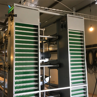 Cage à étages de type H à 3-8 niveaux |   pour les fermes avicoles 20K-Bird |   Élimination automatique du fumier, alimentation et collecte des œufs
