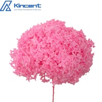 Vente en gros de haute qualité, couleur absorbante, hortensia Anna éternelle, accessoires de décoration intérieure, décoration de mariage, hortensia préservé