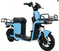 Bicicleta Eléctrica de Carga con Motor Trasero sin Escobillas de 1000W, Batería de Litio de 60V 20AH, 3 Velocidades, para Logística y Entrega en Almacenes