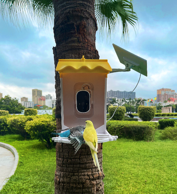 Newest Smart Bird Feeder Waterproof Automatic Bird Feeder With Camera for Birds in Various Environment