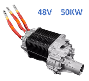 EV AC Motor Kit 48V 45KW High <b>Torque</b> with Control Unit EV Drive Unit for Car to Ev Boat Whole <b>Set</b> Conversion Kit - Product Image 5