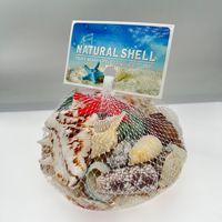 Décoration d'aquarium en coquillages naturels mignons, étoiles de mer, artisanat DIY, souvenir de maternelle, fabriqué en Chine