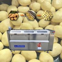 Industriële was- en schilmachine voor zoete aardappelen, taro en andere gewassen.