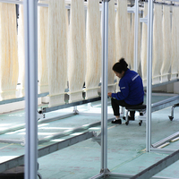 Module de membrane PVDF MBR, membrane à fibres creuses submergée pour les stations d'épuration des eaux usées
