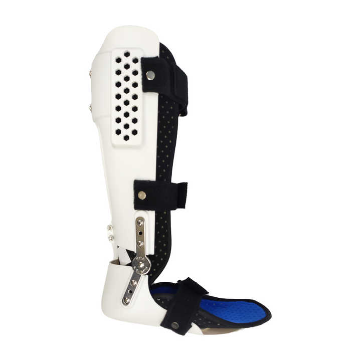 Ankle Braces