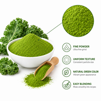 Fabricant de poudre de feuilles de chou frisé de qualité alimentaire, poudre de chou frisé en vrac, OEM, ODM, marque privée, vente en gros