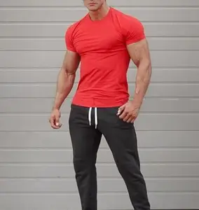 Cheap Gym Wear Cool Fit Crew Neck Mens Muscle Summer T shirts