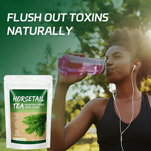 Té de Cola de Caballo OEM para la Salud del Cabello, Uñas y Piel, Natural, Vegano, Sin OMG, 20 Bolsitas de Té de 1.5g Cada Una, por Caja - Product Image 2