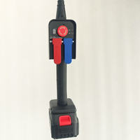Mini-treuil électrique sans fil 250 kg, alimenté par batterie au lithium, treuil de levage portable avec télécommande sans fil