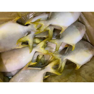 Pescado de pompón dorado congelado chino 300 400g tamaño de origen chino 600-800g pez de pompano dorado congelado - Product Image 4