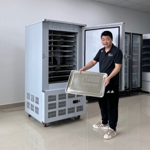 Nhiệt độ cực thấp làm mát bằng không khí Tủ đông năng lượng xếp hạng Sao thẳng đứng tấm tủ lạnh với các thành phần cốt lõi động cơ thân thiện với môi trường - Product Image 4