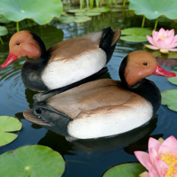 Direct usine, leurre flottant durable pour oiseaux aquatiques, modèle tête rouge-brun, pour la chasse en extérieur, attracteur d'oiseaux aquatiques pour lacs et marais