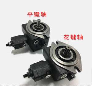 ปั๊มไฮดรอลิก OEM รุ่น VA1 VB1 VC1 VD1 VE1 ซีรีส์ VB1-20FA3 VB1-20FA2 VB1-20FA1 VB1-24FA3 VB1-24FA2 VB1-24FA1 ปั๊มใบพัด - Product Image 2