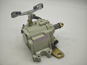Boîte de vitesses inversée pour tricycle à bas prix pour moto à 3 roues <span class=keywords><strong>50cc</strong></span> 125cc 150cc 200cc, auto-rickshaw, pousse-pousse, UTV diesel - Product Image 3