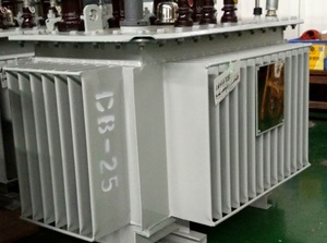 Transformateur en stock, commande directe usine / 200 kVA 13,8-0,48 kV Type Huile Triphasé Élévateur YNd11 Générateur SafeHerm-200/13.8- - Product Image 3
