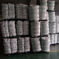 Plastic Dadelplam Mono Groene Netzak Voor Dadelpalmfruit Bescherming Tegen Stofplaag En Vogel, Witte En Zwarte Kleur