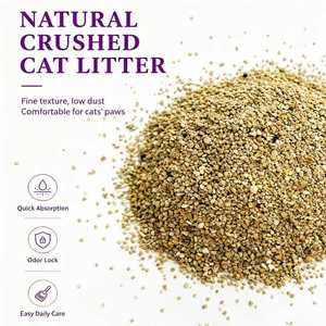 OEM - Litière pour chat en bentonite professionnelle, contrôle des odeurs, faible teneur en poussière, agglomération rapide, paquet de 5 kg - Product Image 2