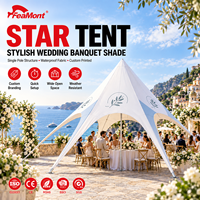 Tente FEAMONT Double Peak Star avec auvent résistant aux UV pour événements publics, activités communautaires, cour d'école, OEM ODM, directement de l'usine