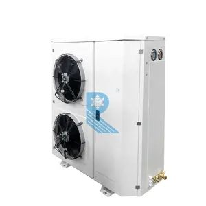 RUIXUE Lボックス18.1KWウォークインコンデンシング真空冷蔵室冷凍ユニット