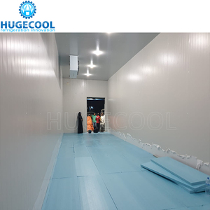 Hugecool Đi Bộ Trong Tủ Đông Lạnh Lưu Trữ Phòng Cho Thịt Cá Rau Trái Cây - Product Image 5