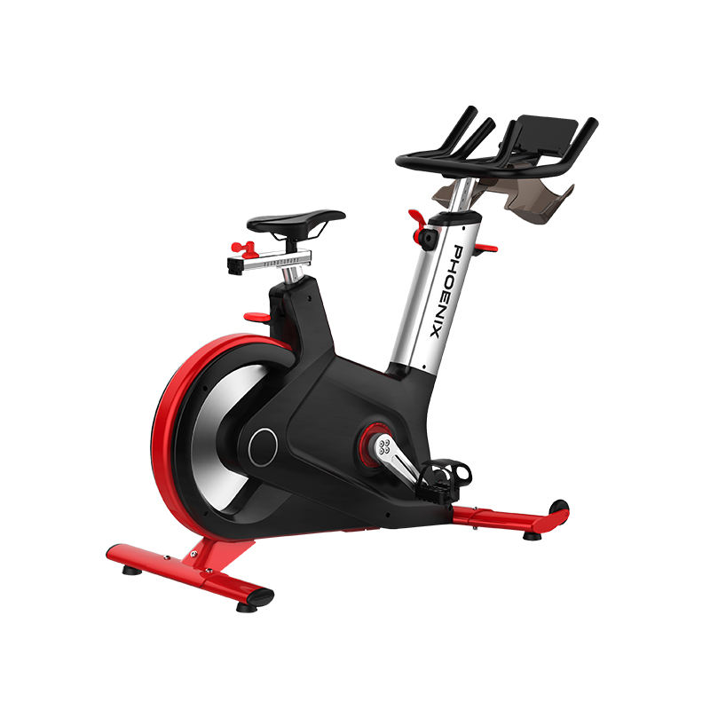 Fitness Club Manual Magnetic Control Home Gym Exercise Spinning Bike