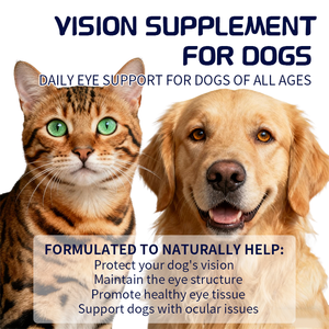 犬のビジョンソフトチューサプリメントルテイン + アスタキサンチン保護ビジョンはシニア犬の健康サプリメントのための眼の健康をサポートします - Product Image 4