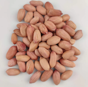 Cacahuetes Chinos a Granel Sin Cáscara 100% Naturales Crudos <span class=keywords><strong>con</strong></span> Piel Roja Precio Orgánico para Cocinar - Product Image 4