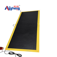 Tapis de sécurité en caoutchouc étanche, capteur de sol industriel sensible à la pression, indice IP67, 24V normalement ouvert/fermé, résistant à la corrosion et aux hautes températures