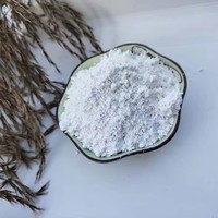 Poudre de barite à faible absorption d'huile, certifiée BSCI et TUV, à mailles fines, pour la protection contre les radiations et la construction.