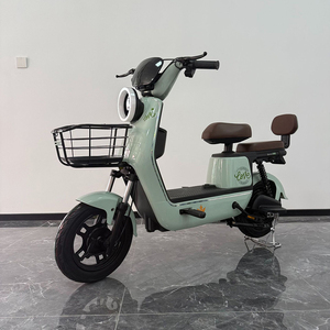 Kit de Ruedas para Bicicleta Eléctrica de 200W, 20 Pulgadas, Usada, 15000 City, 3600 Watts, Dos Asientos, Neumáticos de 500 20, 48V - Product Image 2