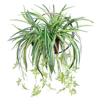 Plante suspendue artificielle en plastique, feuilles vertes, décoration murale, plante araignée à 4 branches, 70 cm, verdure, plantes en pot d'intérieur décoratives