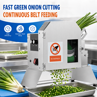 Coupe-légumes multifonctionnel Commercial Electric 200W, tension universelle, en acier inoxydable, trancheuse artisanale, râpe à pommes de terre