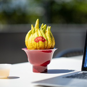 Assiette à fruits en céramique, bol rouge en porcelaine pour la main de Bouddha, pot de fleurs de citron pour présentation sur bureau - Product Image 1
