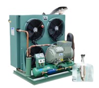 Nueva Unidad de Compresor Scroll Semi-Encerrado Automático R404a/380V para Refrigeración Ecológica de Congeladores, Capacidad de Refrigeración de 4-10kW