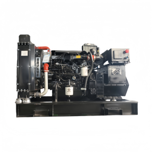 Generador trifásico de 400V 380V 80kW 100kVA, tipo silencioso sin escobillas, marco abierto, 50Hz, refrigerado por agua, alternador 100% cobre, Auto HK20DGW 8 - Product Image 1