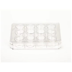 Placa Multivía de Plástico Tratado para Cultivo Celular de 12 Pocillos Nunc, Consumibles Experimentales Dedicados para Cultivo de Tejidos 0.10 (Cat. No. - Product Image 1