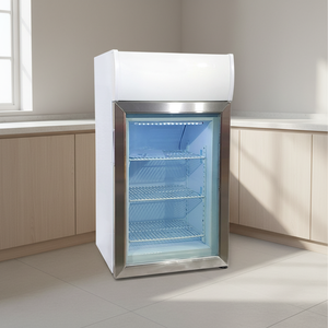 Réfrigérateur-congélateur à compresseur Nuelead NE-50DL à refroidissement rapide, haute qualité, une porte vitrée, avec étagères - Product Image 2