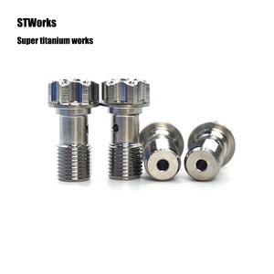 Offre Spéciale gr5 simple <span class=keywords><strong>Banjo</strong></span> titane boulon M10 x 1.0/M10*1.25 titane probolt course moto pièces cnc pièces - Product Image 4