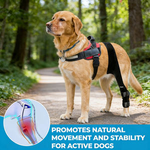 Soporte Ajustable para Rodillas de Perro, para Perros Pequeños y Grandes, Soporte para Patas Delanteras y Traseras, Alivio del Dolor, Recuperación de Lesiones, Funda Protectora para Patas de Mascotas - Product Image 6