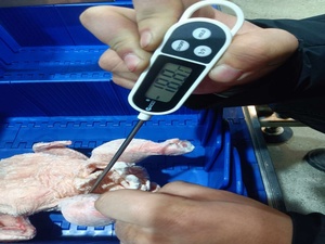 Cámara Frigorífica Personalizada, Cámara de Congelación Industrial para Almacenamiento en Frío de Alimentos, Carne y Mariscos - Product Image 4