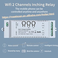 Interruptor Inteligente Wifi de 2 Canales, Temporizador DIY Ewelink 7-32V 2.4G Wifi RF433, Módulo de Automatización del Hogar para Alexa, Google Home, IFTT