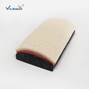 Módulo de Sutura de Piel Curva, Maniquí Médico para Entrenamiento de Enfermería para el Desarrollo de Habilidades de Sutura - Product Image 5