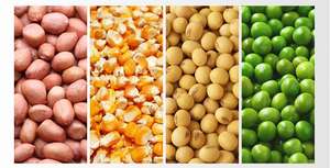 Semoir manuel pour haricots, semoir manuel pour maïs, machine à semer les graines, outils agricoles manuels, semoir manuel pour soja - Product Image 2