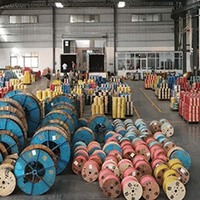 Fil de cuivre rouge émaillé de 10 mm à 35 mm à prix compétitif pour panneaux solaires CC, soudage, découpe et câbles d'alimentation